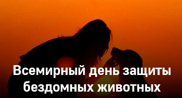 Всемирный день защиты бездомных животных