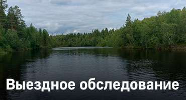 Выездное обследование